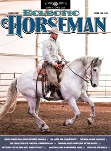 Bryan Neubert Colt Starting & Horsemanship Clinic
