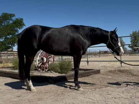 I Wont Go Unnoticed (ROXY)