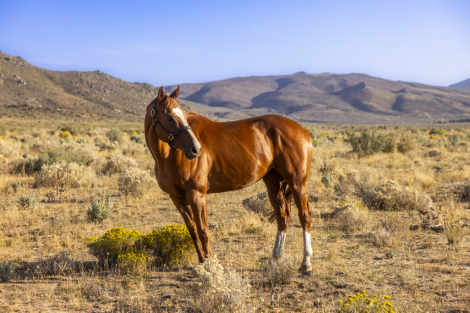 Slightly Dirty (Rory)