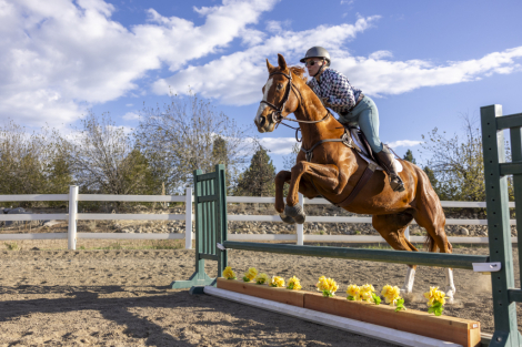 Slightly Dirty (Rory) photo 1