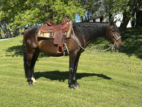 Irene (Irene)