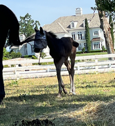 Miss Coco (Coco) photo 2