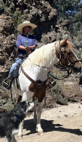 Stag Creek's Seminole Mesa (Mesa)