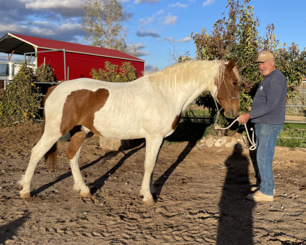 Stag Creek's Seminole Mesa (Mesa) photo 1