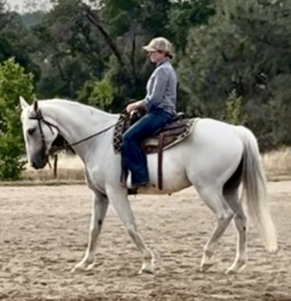 Riatta GF (Zara) photo 1