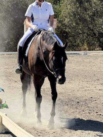 Divine Serenity (Vinnie)