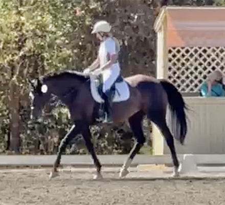 Divine Serenity (Vinnie)