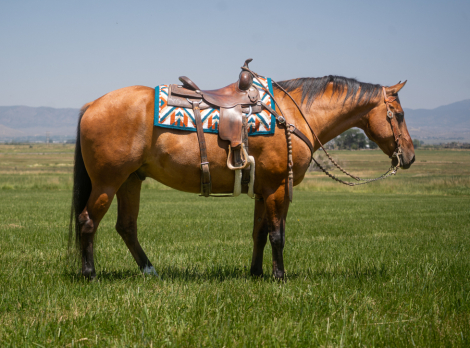 MAB Breezy Hancock (BJ)