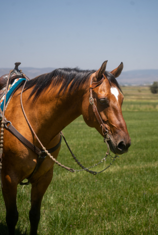 MAB Breezy Hancock (BJ) photo 1