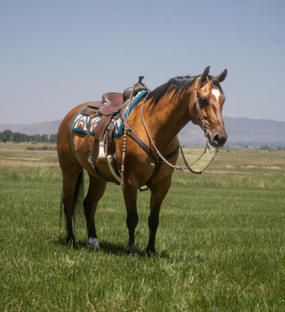 MAB Breezy Hancock (BJ) photo 2