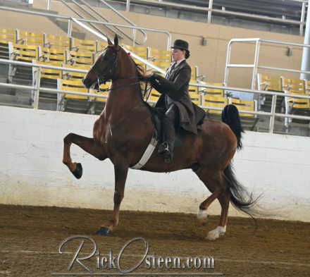 SH A Shot of Don Julio (Julio)