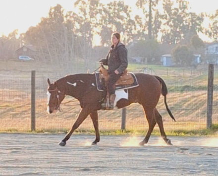 Rio Hot N Reddy (Rio) photo 3