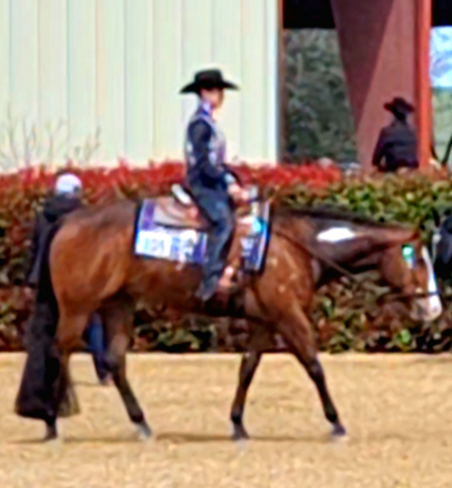 Rio Hot N Reddy (Rio) photo 4