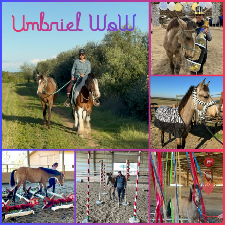 Umbriel WoW (Brie) photo 1