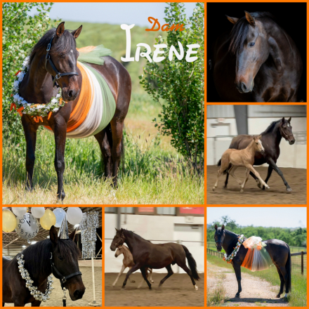 Umbriel WoW (Brie) photo 2