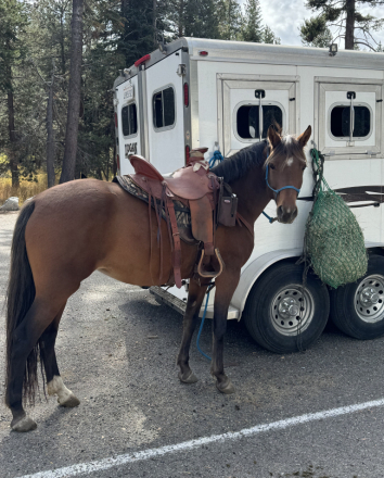 HS Corabel (Corabel) photo 1