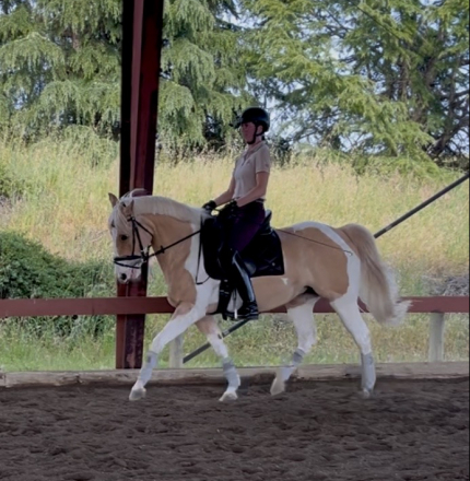 Peaches & Cream (Peaches) photo 1