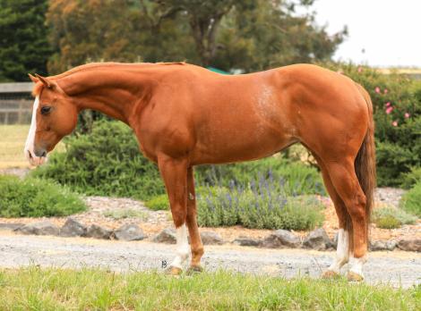 Look Again Mister (Someday)