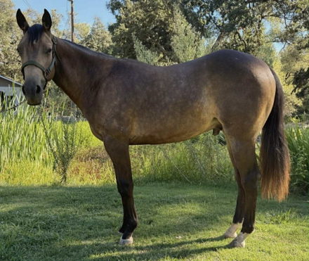 Dreams Dunn ComeTrue (Drew) photo 3