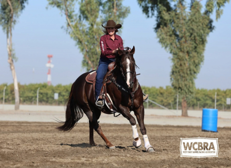 PYRO SIX MOONS WRANGLER (PYRO)