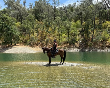 Linfor Frankly My Dear (Rhett) photo 3