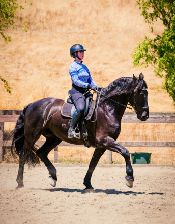 Finne Klaas (Finney)