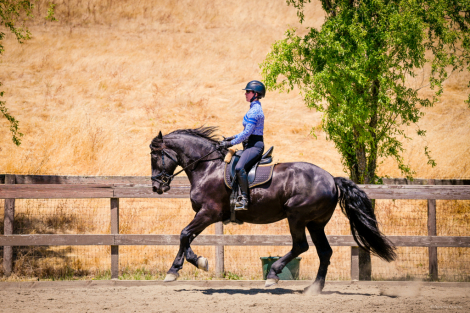 Finne Klaas (Finney) photo 1