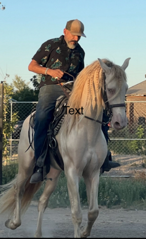 Elegante yl (None) photo 1