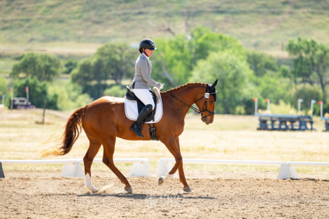 Rimrock (Rocky)