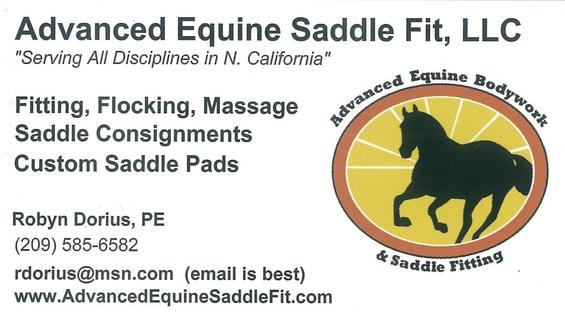 Advanced Equine Saddle Fit (Robyn Dorius)