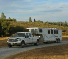 Pony Express Horse Transportation