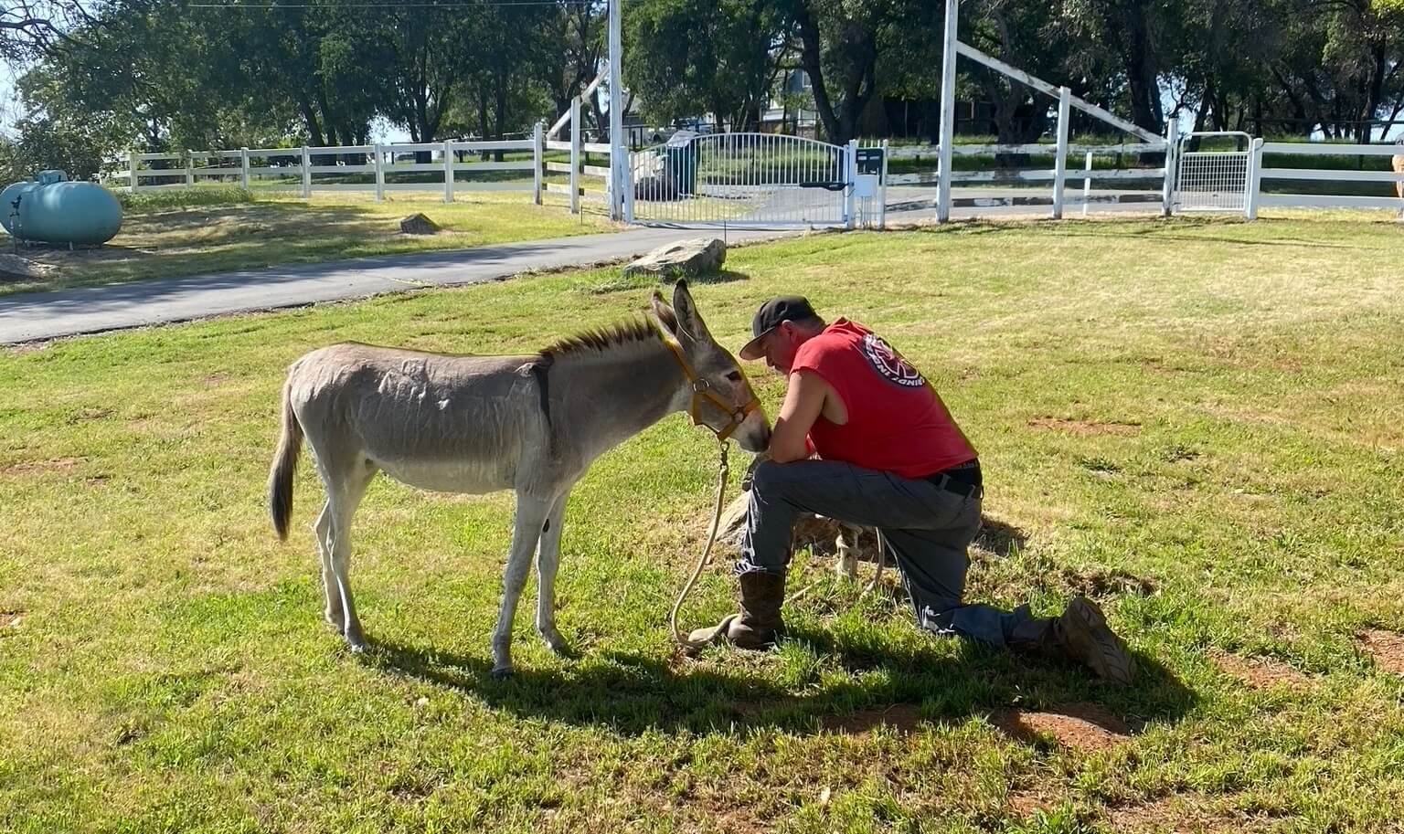 Knickerbocker Equine Rescue (KCRanch)